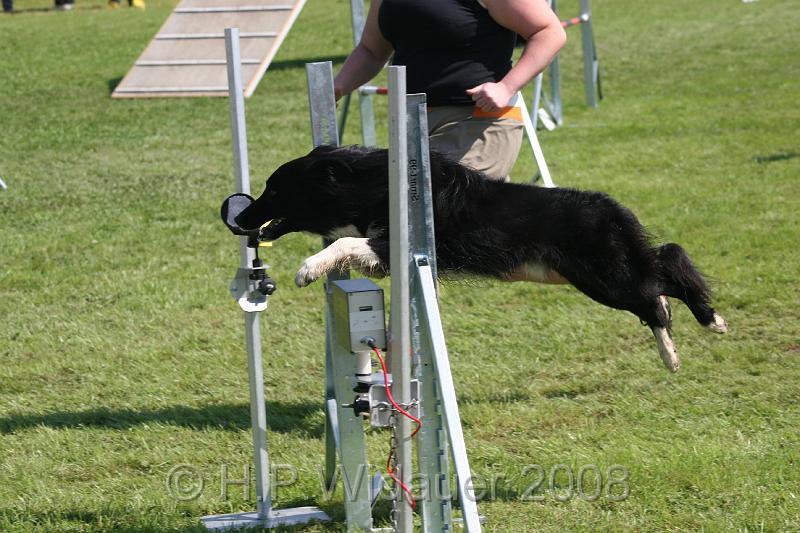 jubil.lusten. 250.jpg